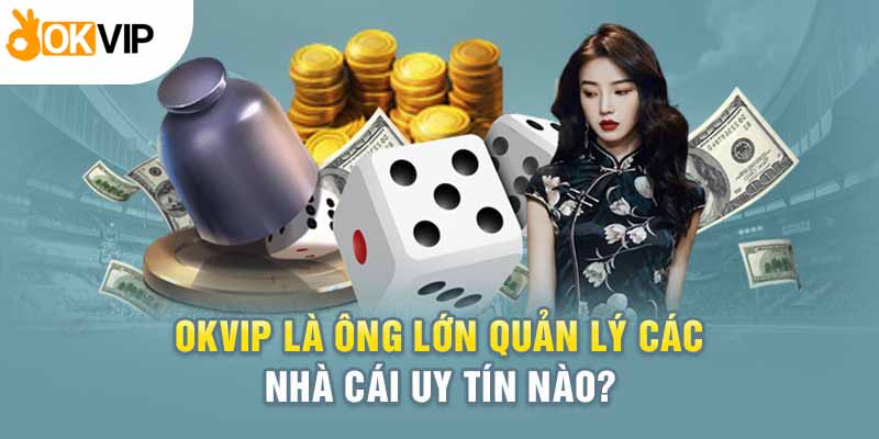 Tổng hợp những nhà cái đang chịu sự quản lý của Okvip